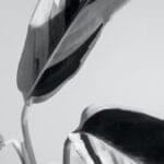 home-5-banner-1