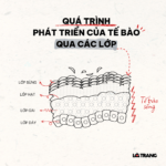 tac-dung-phu-cua-retinol-lam-bong-da-2