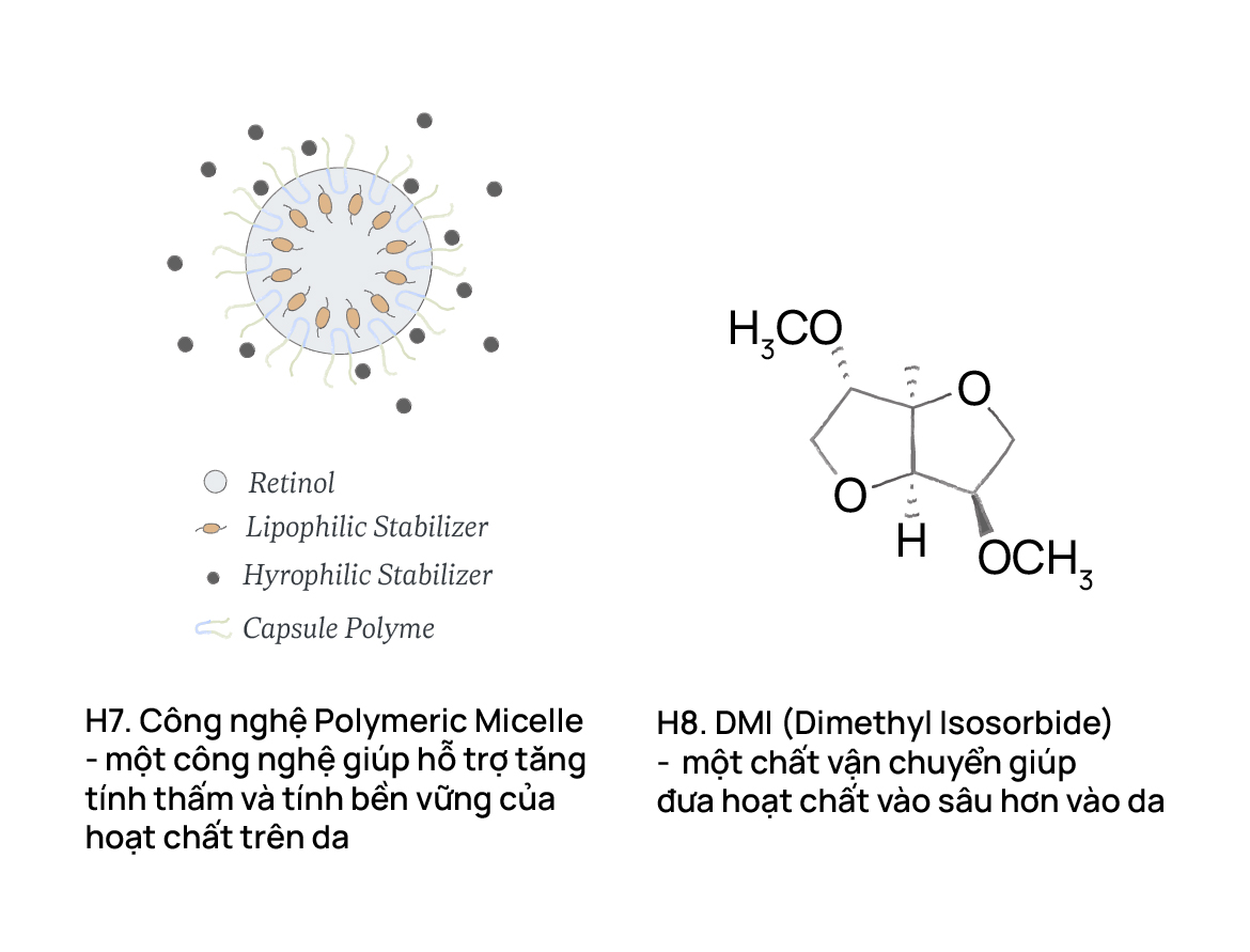 Công nghệ Polymeric Micelle - một công nghệ giúp hỗ trợ tăng tính thấm và tính bền vững của hoạt chất trên da.
DMI (Dimethyl Isosorbide) - một chất vận chuyển giúp đưa hoạt chất vào sâu hơn vào da