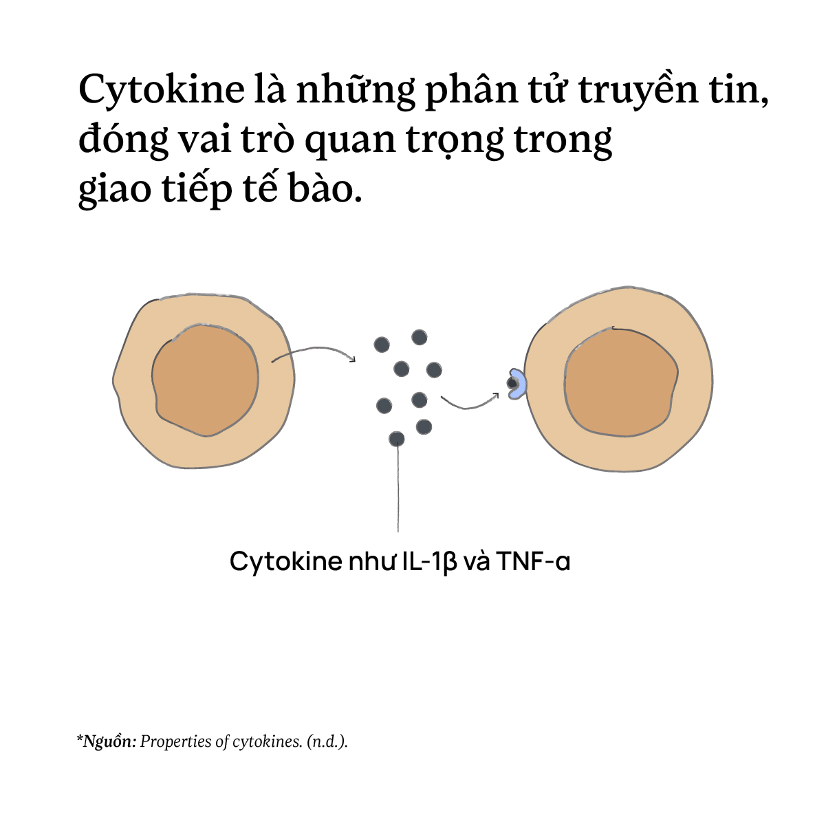 Cytokine là những phân tử truyền tin, đóng vai trò quan trọng trong giao tiếp tế bào