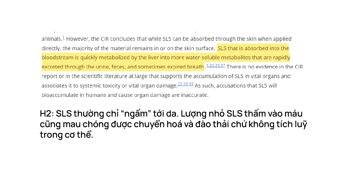 SLS thường chỉ "ngấm" tới da. Lượng nhỏ SLS thấm vào máu cũng mau chóng được chuyển hóa và đào thải chứ không tích lũy trong cơ thể.