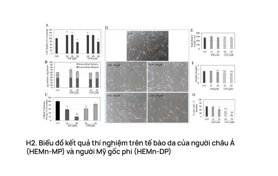 Biểu đồ kết quả thí nghiệm trên tế bào da của người châu Á (HEMn-MP) và người Mỹ gốc Phi (HEMn-DP)