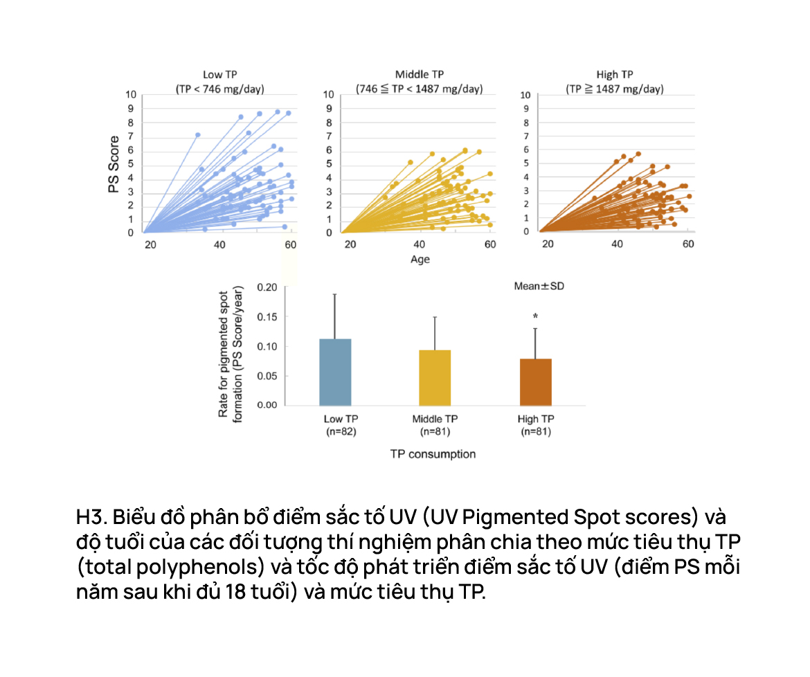 Biểu đồ phân bố điểm sắc tố UV (UV Pigmented Spot scores) và độ tuổi của các đối tượng thí nghiệm phân chia theo mức tiêu thụ TP (total polyphenols) và tốc độ phát triển điểm sắc tố UV (điểm PS mỗi năm sau khi đủ 18 tuổi) và mức tiêu thụ TP có trong cà phê.