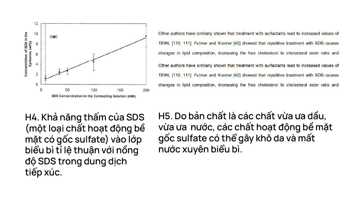 Khả năng thấm của SDS (một loại chất hoạt động bề mặt có gốc sulfate) vào lớp biểu bì tỉ lệ thuận với nồng độ SDS trong dung dịch tiếp xúc. Do bản chất là các chất vừa ưa dầu, vừa ưa nước, các chất hoạt động bề mặt gốc sulfate có thể gây khô da và mất nước xuyên biểu bì.